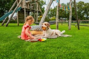 Kind speelt met hond op grasveld met kleurrijke kussens en picknickkleed