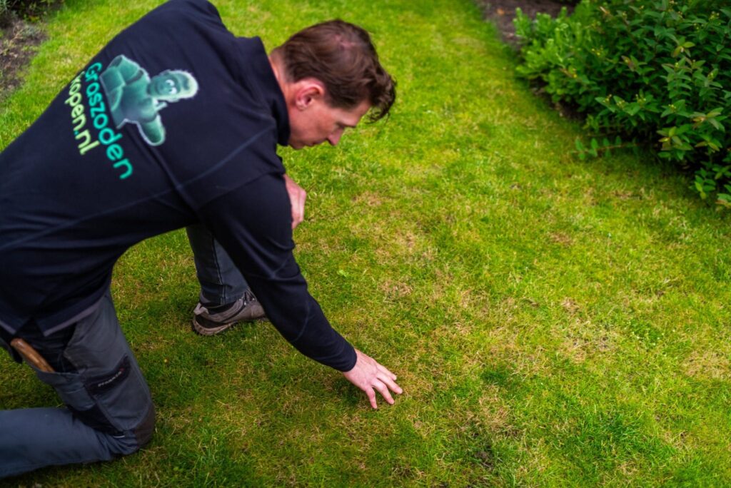 Natuurlijke onkruidbestrijding