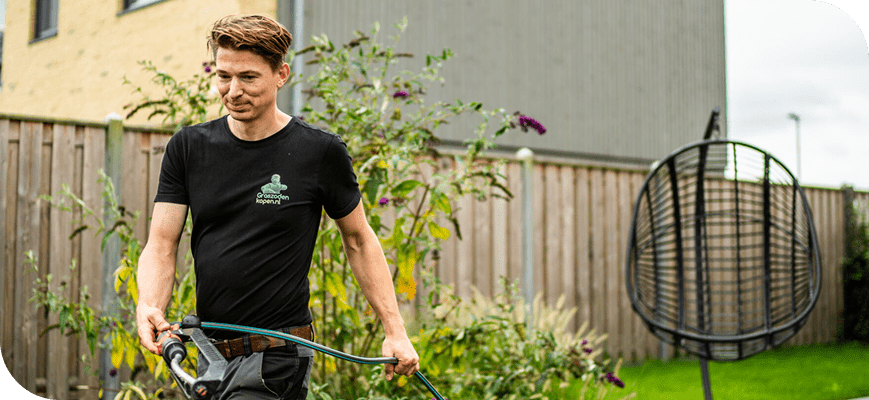 This image has an empty alt attribute; its file name is image-50.png