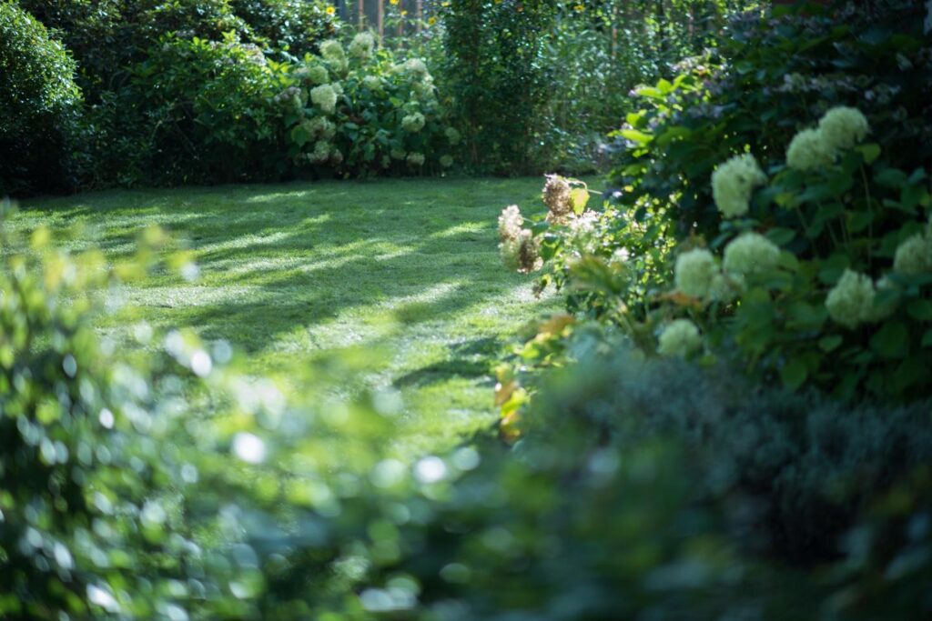 Schaduw over groene graszoden in tuin