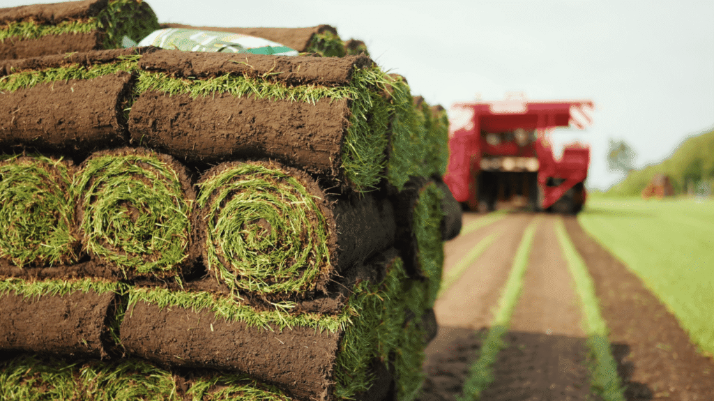 Vrachtwagen van Graszodenkopen.be met graszoden