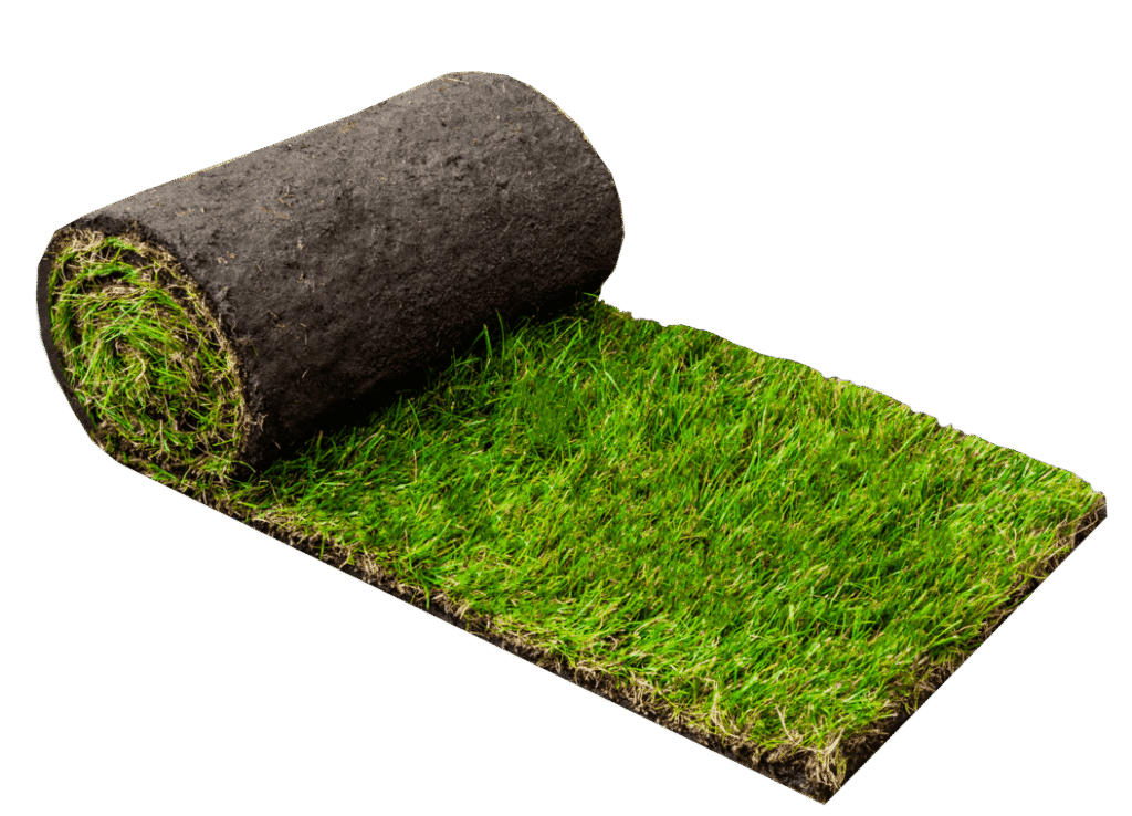 Een grasrol zonder achtergrond van Graszodenkopen.be