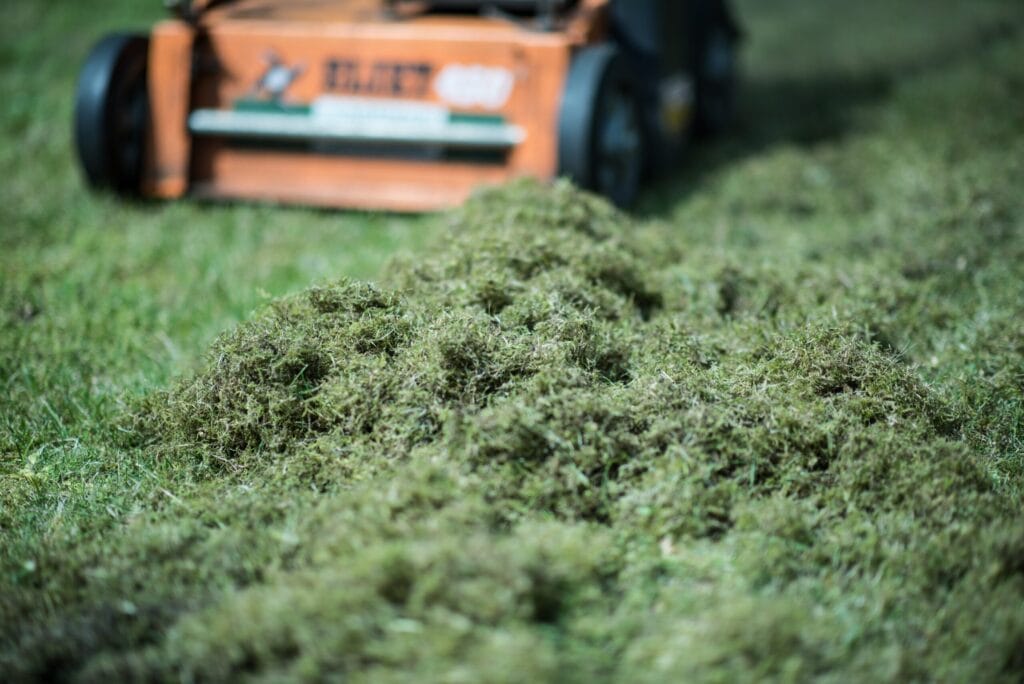 Grote hoop vilt en mos na het verticuteren van het gazon