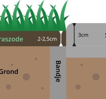 Technische doorsnede van een graszode: graszode van 2 tot 2,5 cm dik op grond, met bandje en aangrenzend straatwerk van 3 cm