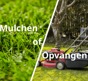 Vergelijking mulchen van grasmaaisel op het gazon versus opvangen van gras in de opvangbak van een grasmaaier