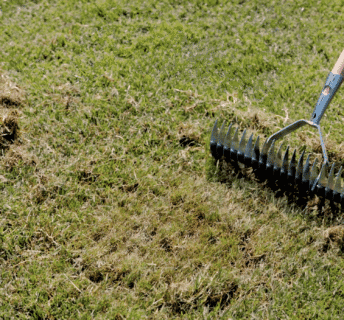 Verticuteerhark die een viltlaag uit het gazon verwijdert voor beter herstel en groei.