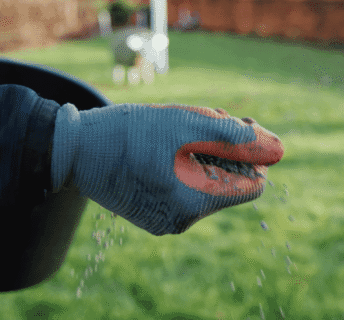 Persoon die handmatig bemesting strooit over het gazon