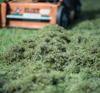 Grote hoop vilt en mos na het verticuteren van het gazon