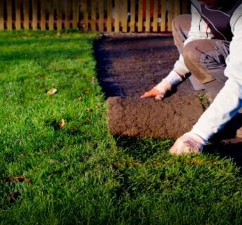 Professionele tuinman legt verse graszode op voorbereide grond in Nederlandse achtertuin