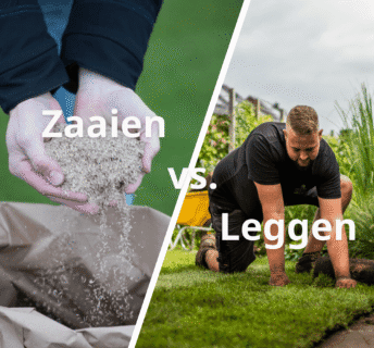 Vergelijking zaaien versus leggen van graszoden: links gras zaaien vanuit een zak, rechts het leggen van graszoden door een tuinier