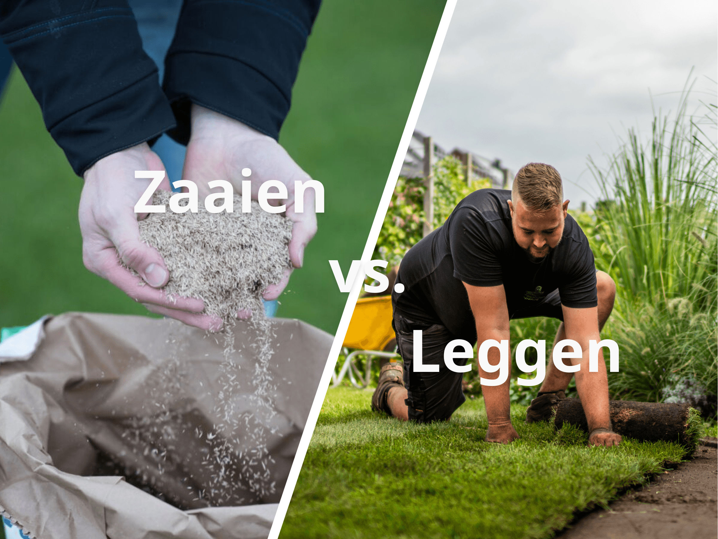 Vergelijking zaaien versus leggen van grasmatten: links gras zaaien vanuit een zak, rechts het leggen van grasmatten door een tuinier