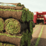 Verse opgerolde graszoden klaar voor levering vanaf het veld