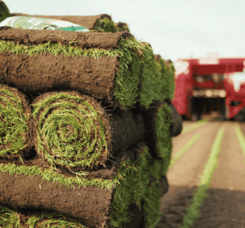 Verse opgerolde graszoden klaar voor levering vanaf het veld