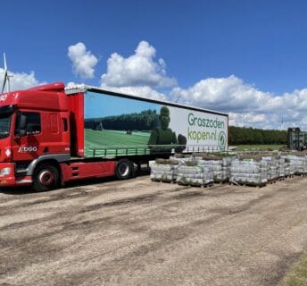 Pallets met graszoden klaar voor distributie op grasveld