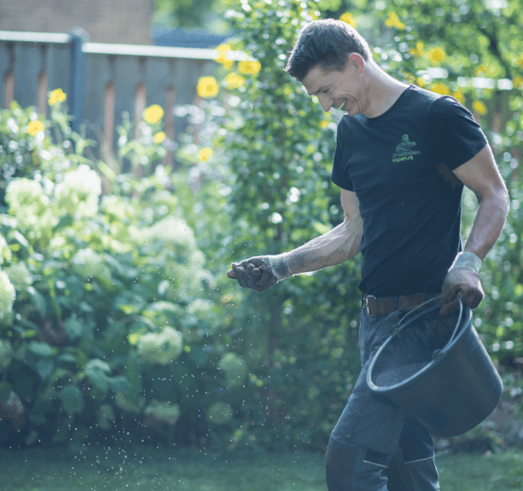 Hovenier strooit gazonmest over een gazon