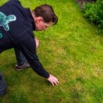 Graszodenkopen.be specialist controleert gazon op roodraad