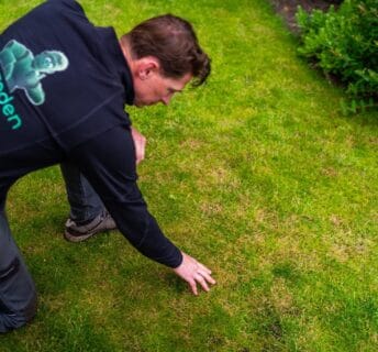 Graszodenkopen.be specialist controleert gazon op roodraad