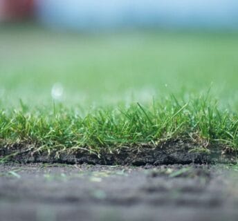 Mooie detailfoto van rand van graszoden