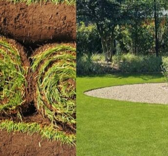 Rollen graszoden naast een strak aangelegd gazon in een tuin