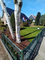 Peter Oosterom – review foto